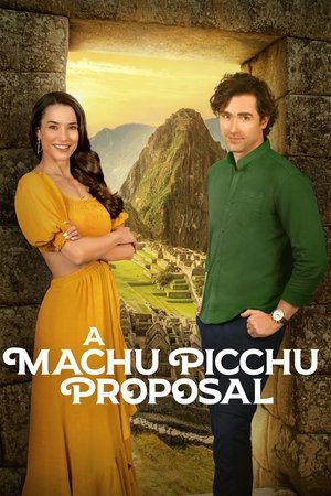 A Machu Picchu Proposal (2025) WEBRIP Hindi (MULTI AUDIO) 720p – 480p – 1080p