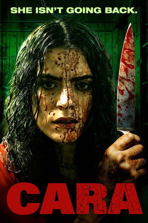 Cara (2024) WEBRIP Hindi (MULTI AUDIO) 720p – 480p – 1080p