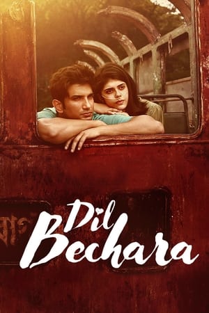 Dil Bechara 2020 Hindi Audio WEB-DL 1080p - 720p - 480p