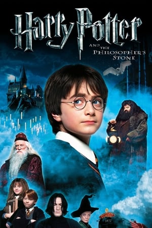 Harry Potter and the Sorcerer's Stone 2001 Hindi Dual Audio WEB-DL 1080p - 720p - 480p