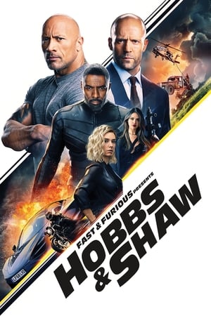 Hobbs & Shaw (2019) Hindi Dual Audio 720p BluRay [1.3GB]