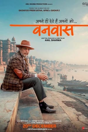 Vanvaas (2024) Hindi (DD5.1) WEB-DL 1080p - 720p - 480p