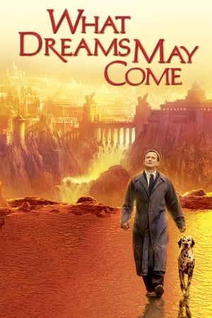 What Dreams May Come (1998) Dual Audio Hindi 480p BluRay 350MB